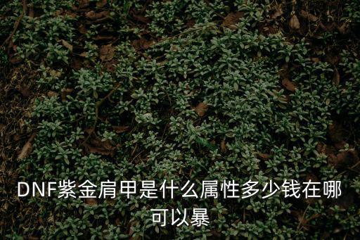 DNF紫金肩甲是什么属性多少钱在哪可以暴