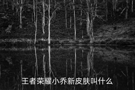 王者荣耀小乔新皮肤叫什么
