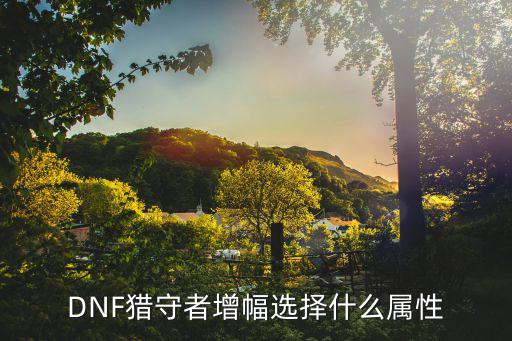 dnf增幅选什么属性好，dnf7周年强力增幅书属性可以选择吗