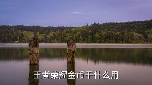 王者荣耀金币干什么用