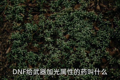 DNF给武器加光属性的药叫什么