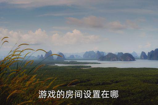 金铲铲手游自定义房间怎么开，游戏的房间设置在哪