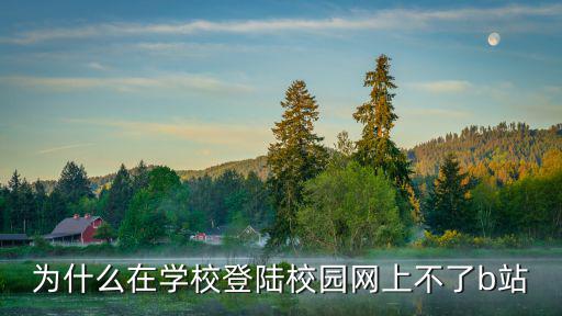 为什么在学校登陆校园网上不了b站
