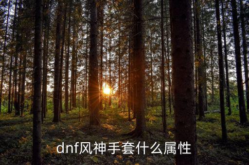 dnf风神手套什么属性