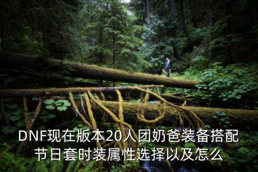 dnf奶爸主要堆什么属性，DNF中纯辅助奶爸堆什么属性好力量智力体力精神