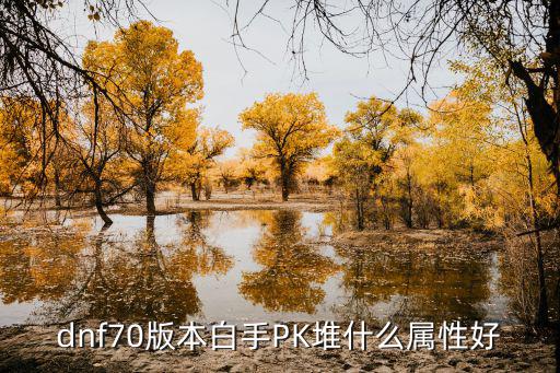 dnf70版本白手PK堆什么属性好