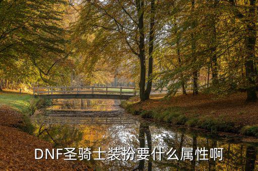 dnf圣骑士什么套装属性，DNF圣骑士装扮要什么属性啊