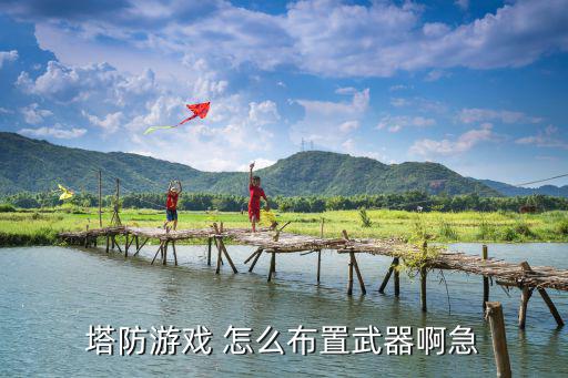 手游荒岛求生塔防怎么布置，塔防游戏 怎么布置武器啊急