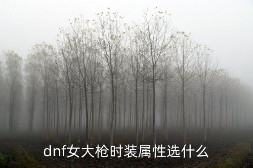 dnf女大枪时装属性选什么