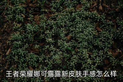王者荣耀娜可露露新皮肤手感怎么样