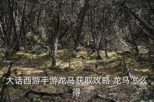 手游大话龙马怎么获得，大话西游手游龙马怎么弄的