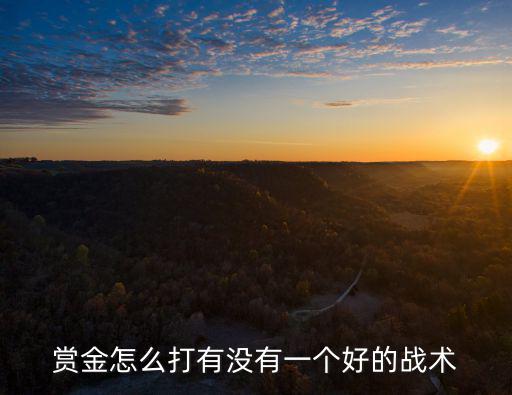 金蝉蟾手游赏金怎么玩，赏金怎么打有没有一个好的战术