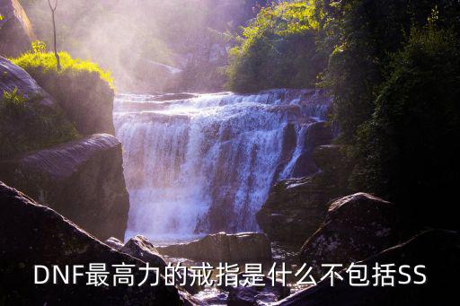 DNF最高力的戒指是什么不包括SS