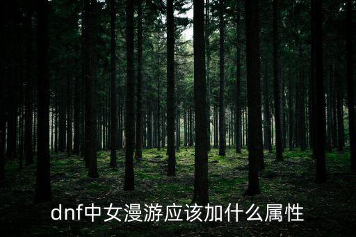 dnf中女漫游应该加什么属性