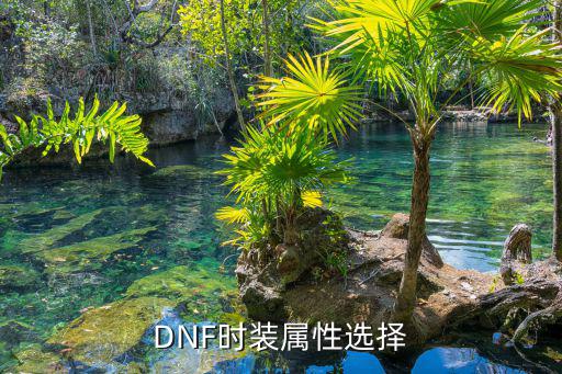 dnf刃影时装选什么属性，DNF时装各个部位选什么属性好