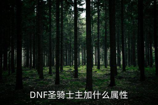 dnf圣骑士加什么属性好，地下城与勇士的圣骑士带什么属性好