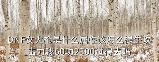 DNF女大枪是什么属性该怎么提生攻击力我60功2300过得去吗