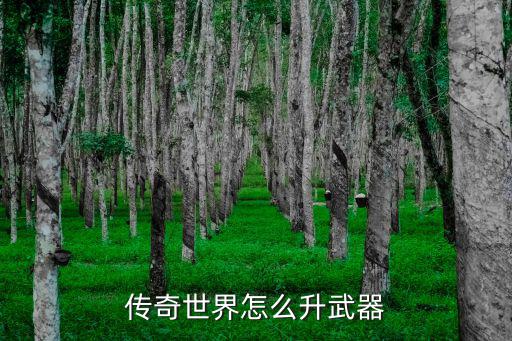 传奇世界怎么升武器