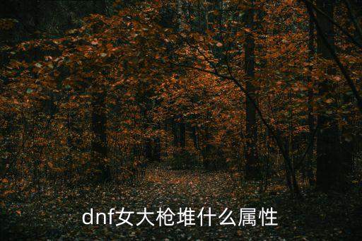 dnf女大枪主加什么属性，dnf女大枪依次堆什么属性