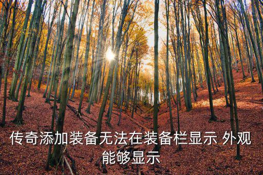 传奇添加装备无法在装备栏显示 外观能够显示