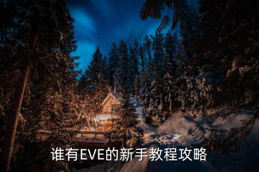 谁有EVE的新手教程攻略