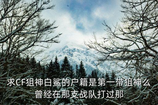 求CF狙神白鲨的户籍是第一带狙神么曾经在那支战队打过那