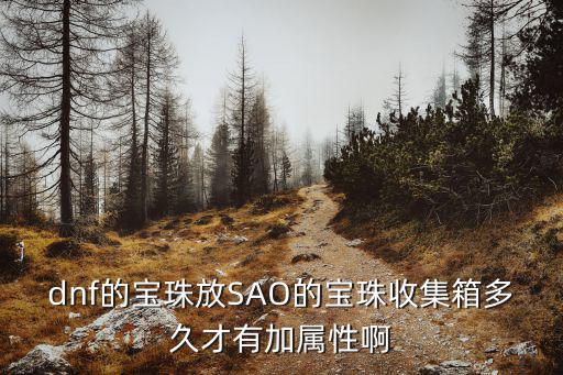 dnf的宝珠放SAO的宝珠收集箱多久才有加属性啊