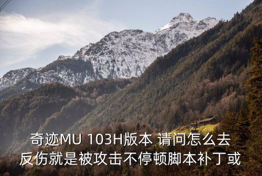 奇迹MU 103H版本 请问怎么去反伤就是被攻击不停顿脚本补丁或