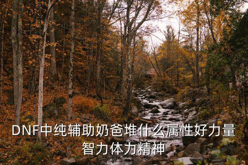 DNF中纯辅助奶爸堆什么属性好力量智力体力精神