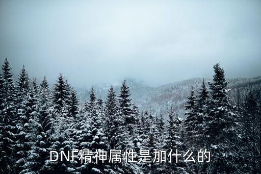 DNF精神属性是加什么的