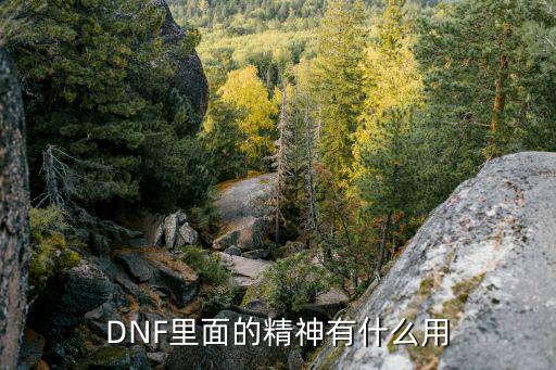 dnf属性精神是什么意思，地下城与勇士里装备加属性精神有什么作用