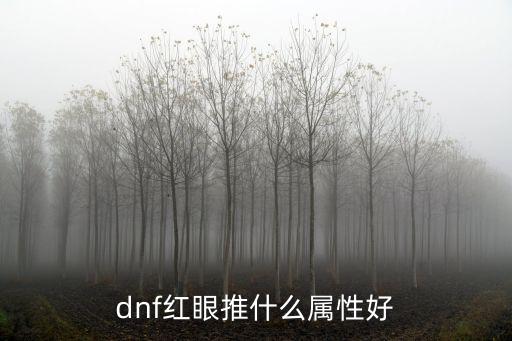 dnf红眼推什么属性好
