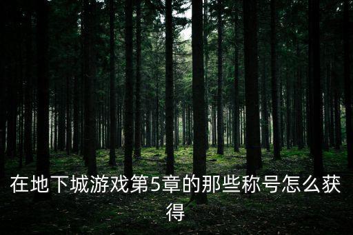 在地下城游戏第5章的那些称号怎么获得