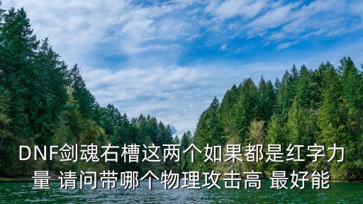 DNF剑魂右槽这两个如果都是红字力量 请问带哪个物理攻击高 最好能