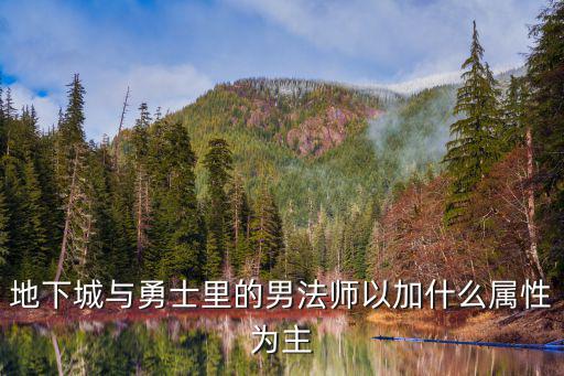 地下城与勇士里的男法师以加什么属性为主