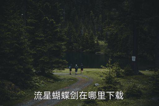 流星蝴蝶剑在哪里下载