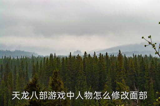 天龙八部游戏中人物怎么修改面部