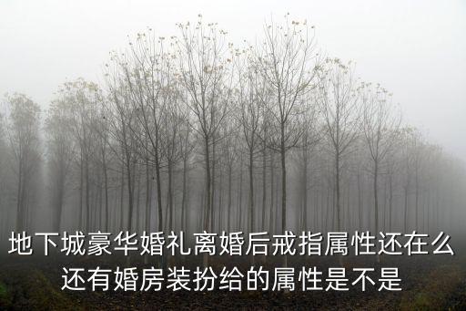 地下城豪华婚礼离婚后戒指属性还在么还有婚房装扮给的属性是不是
