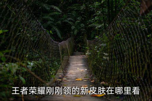 王者荣耀新皮肤进度怎么看，王者荣耀没获得英雄获得了皮肤在哪看