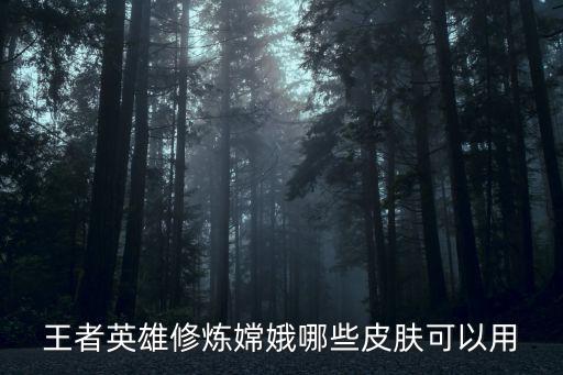 王者荣耀新梦境皮肤有哪些，王者英雄修炼嫦娥哪些皮肤可以用