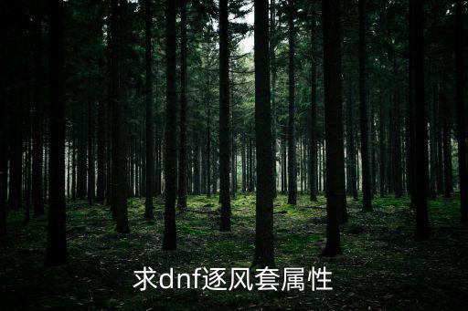 求dnf逐风套属性