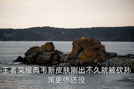 王者荣耀典韦新皮肤刚出不久就被砍孙策更惨还没
