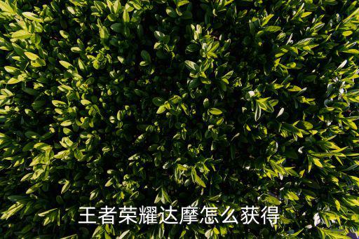 王者荣耀达摩怎么获得