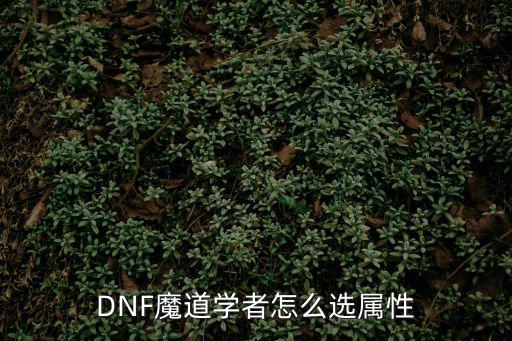 DNF魔道学者怎么选属性