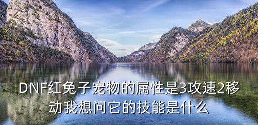 dnf带红兔加什么属性，DNF红兔子波提斯满级使用技能的话可以加多少攻击速度和移动速度