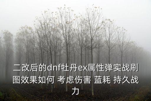 二改后的dnf牡丹ex属性弹实战刷图效果如何 考虑伤害 蓝耗 持久战力