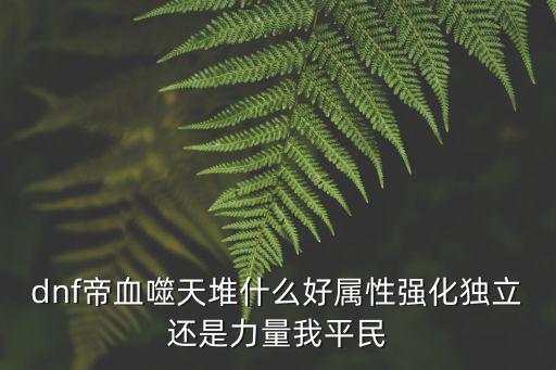dnf帝血噬天堆什么好属性强化独立还是力量我平民