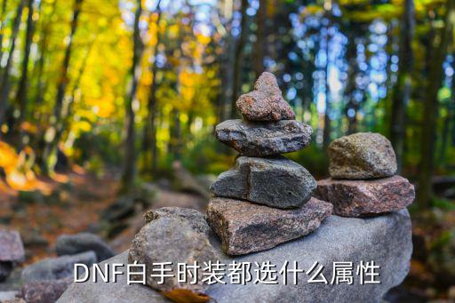 DNF白手时装都选什么属性