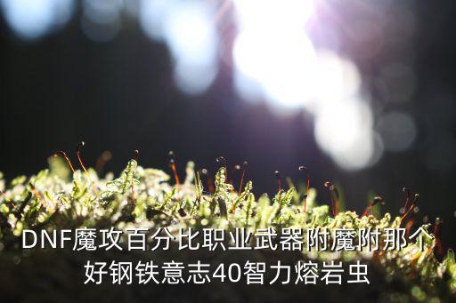 DNF魔攻百分比职业武器附魔附那个好钢铁意志40智力熔岩虫