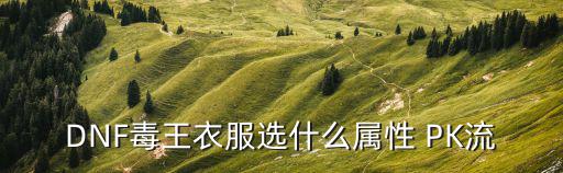 DNF毒王衣服选什么属性 PK流